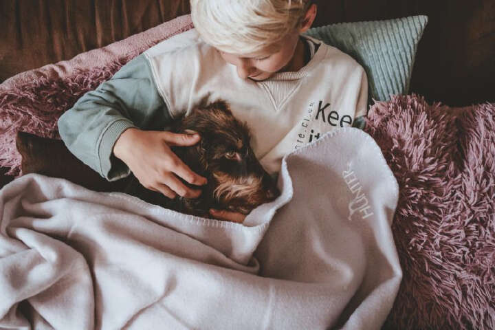 HUNTER Hundedecke Casper